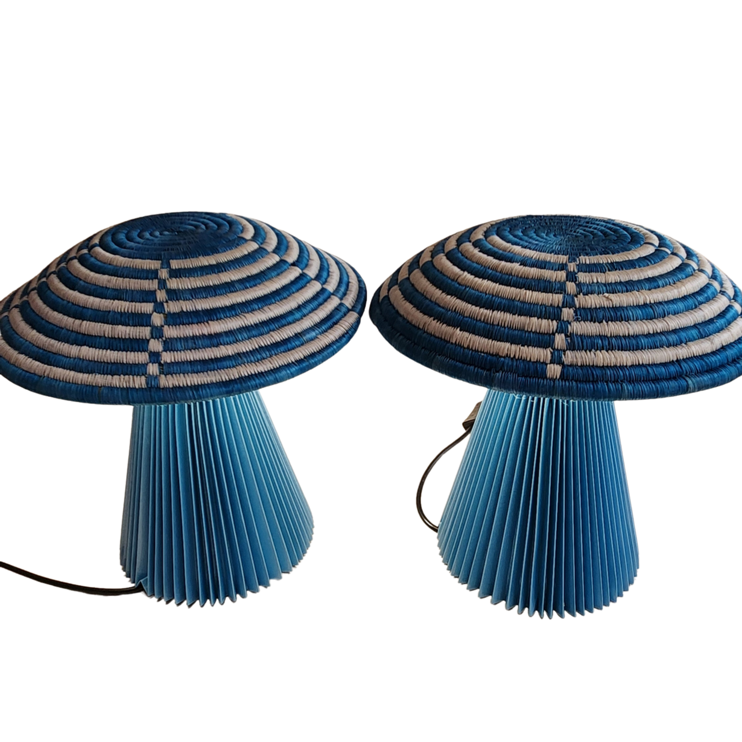 Uyoga in Blue Twin Set